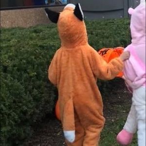Fox Halloween Costume size 4t-5t